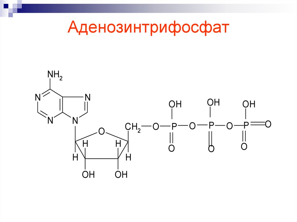 Атф структурная. Структурная формула АТФ связи. АТФ формула структурная. АТФ аденозинтрифосфат формула. Структурная химическая формула АТФ.