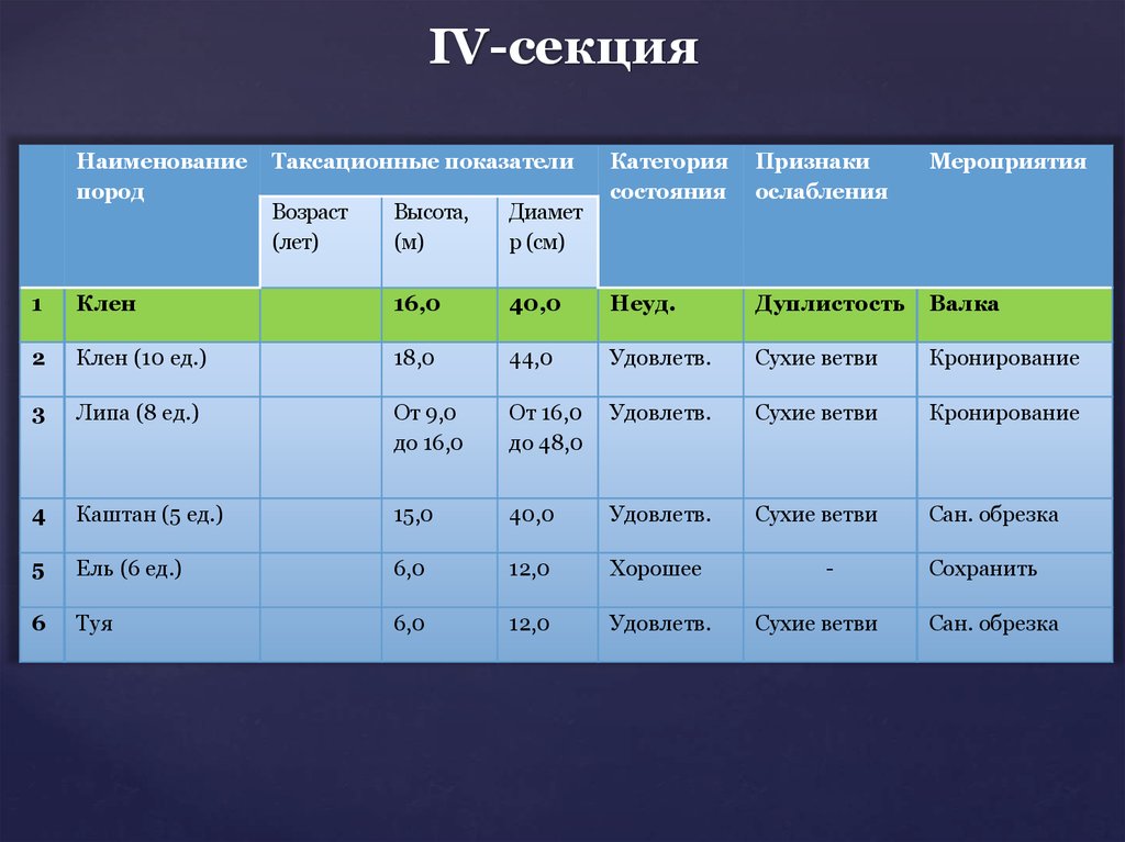 Секция в проекте это