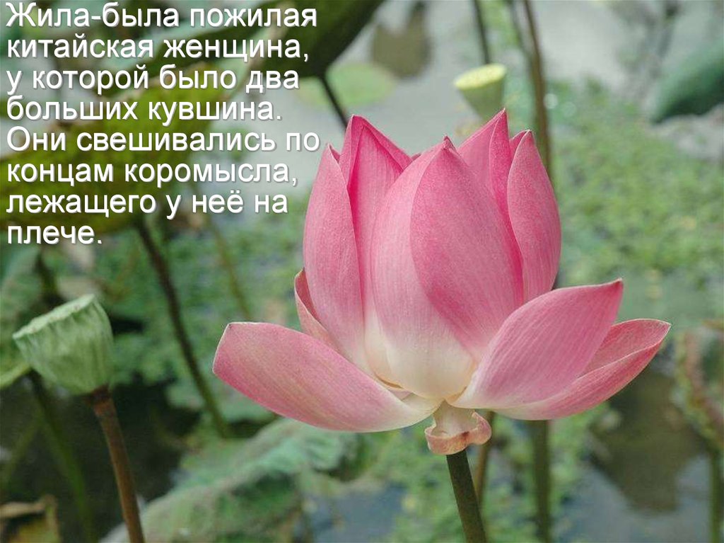 Трещина в кувшине. Притча - презентация онлайн