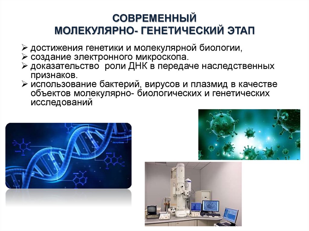 Методы молекулярной биологии презентация