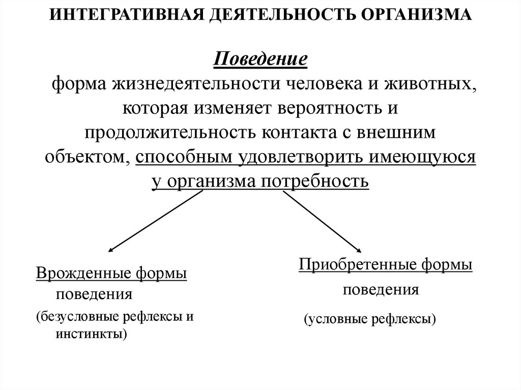 Деятельность и поведение личности. Врожденные формы поведения человека. Формы поведения животных. Интегративная деятельность организма.. Формы поведения личности.