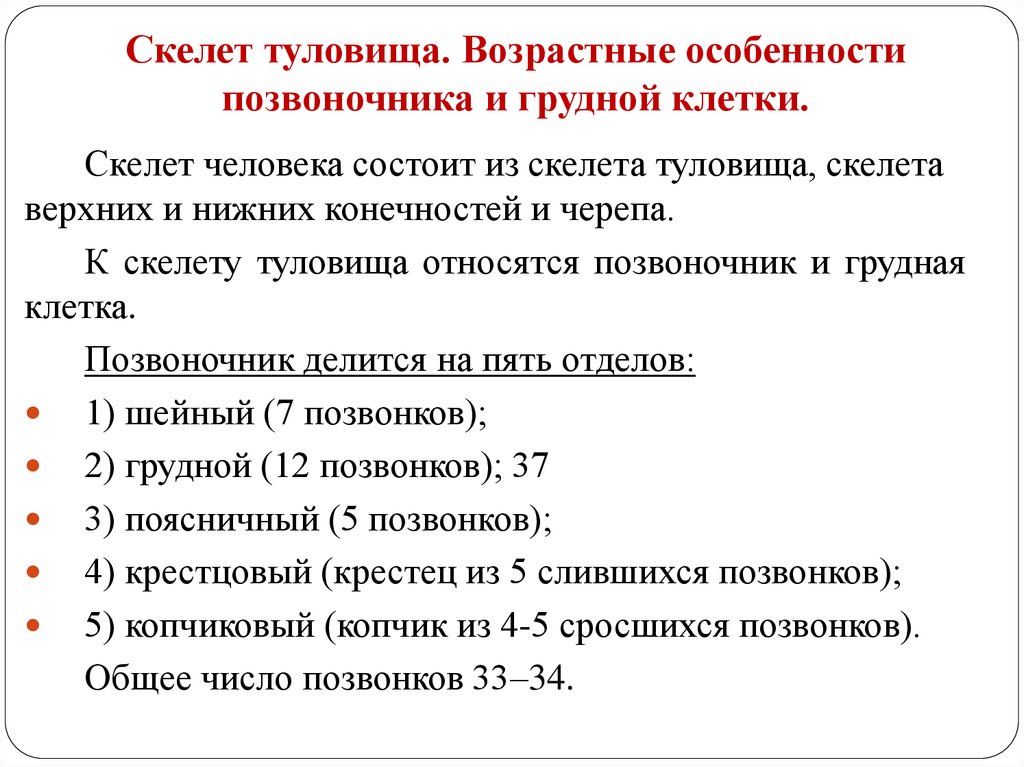 Возрастные особенности позвоночника