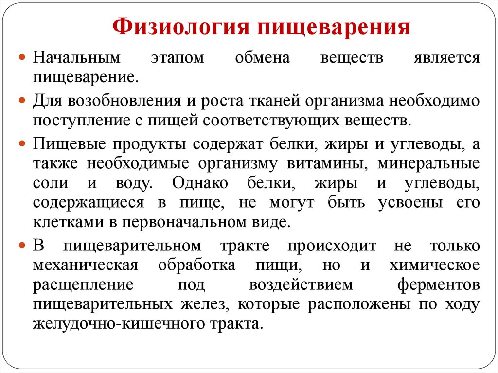 Физиология пищеварения. Физиологическая характеристика процесса пищеварения.. Физиологические основы пищеварения кратко. Физиология пищеварительной системы кратко. Основные пищеварительные ферменты физиология пищеварения.