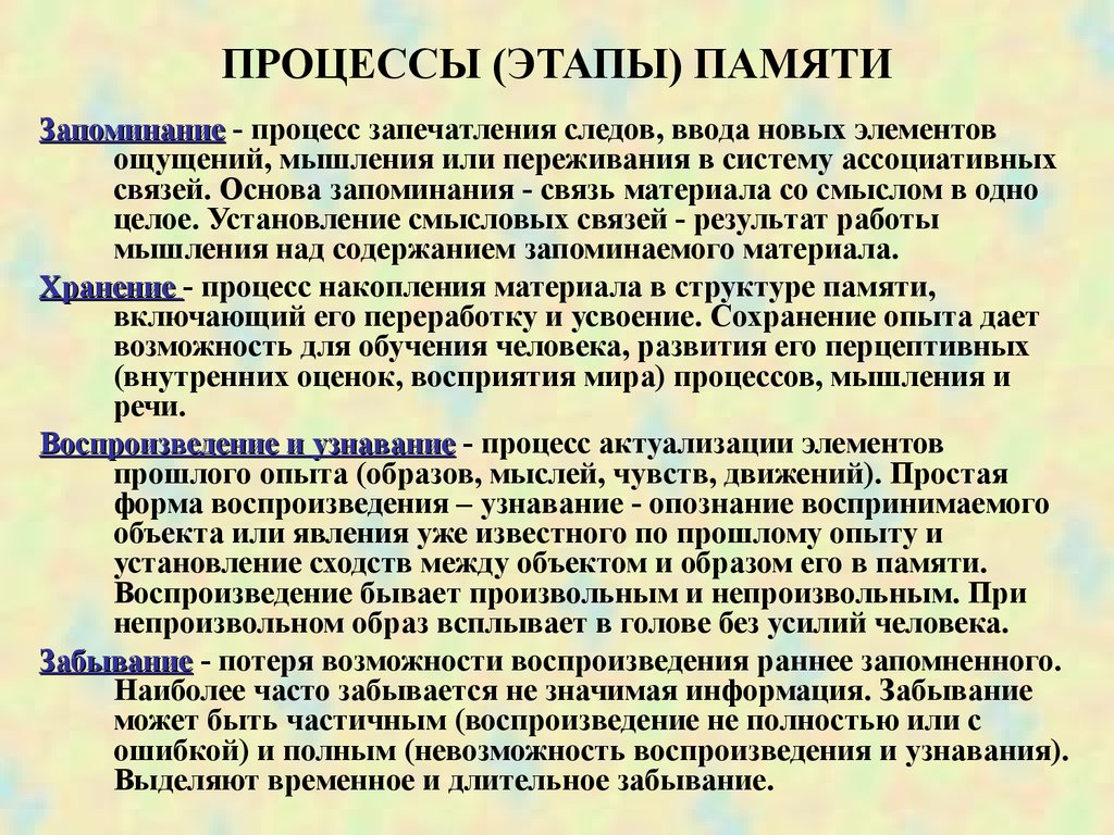 Этапы памяти