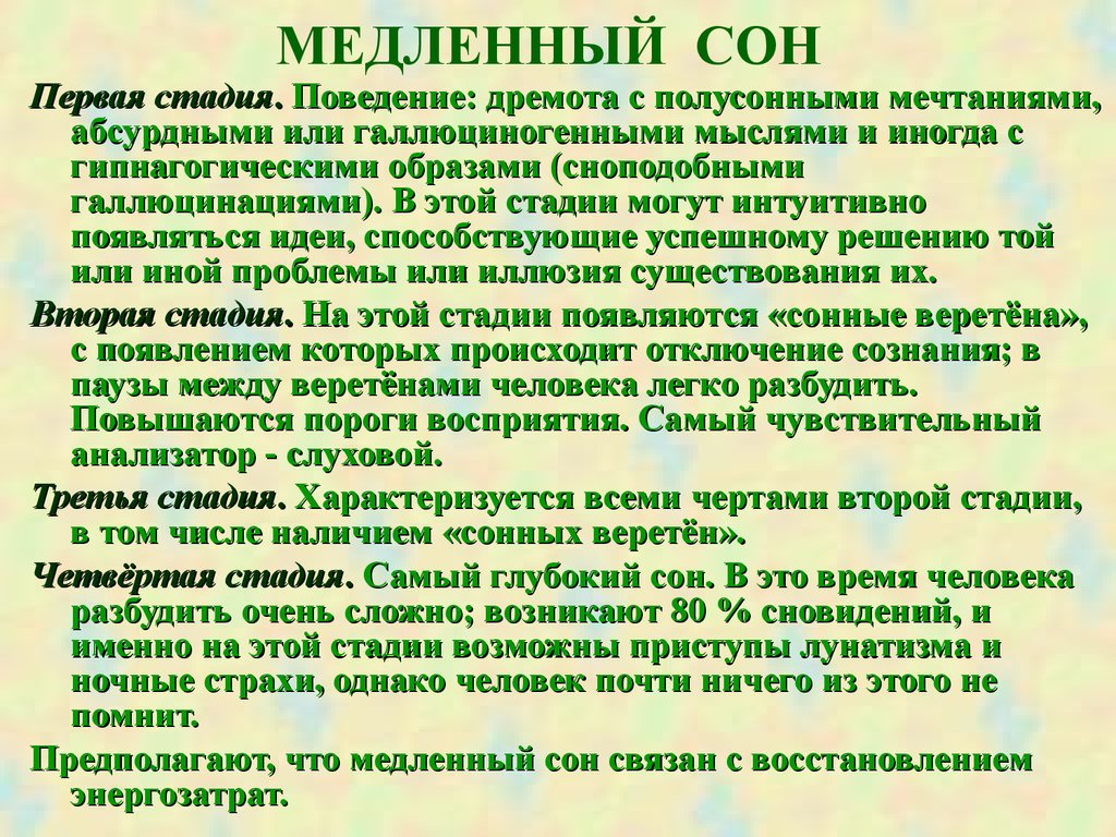 Медленный сон. Стадии медленного сна.