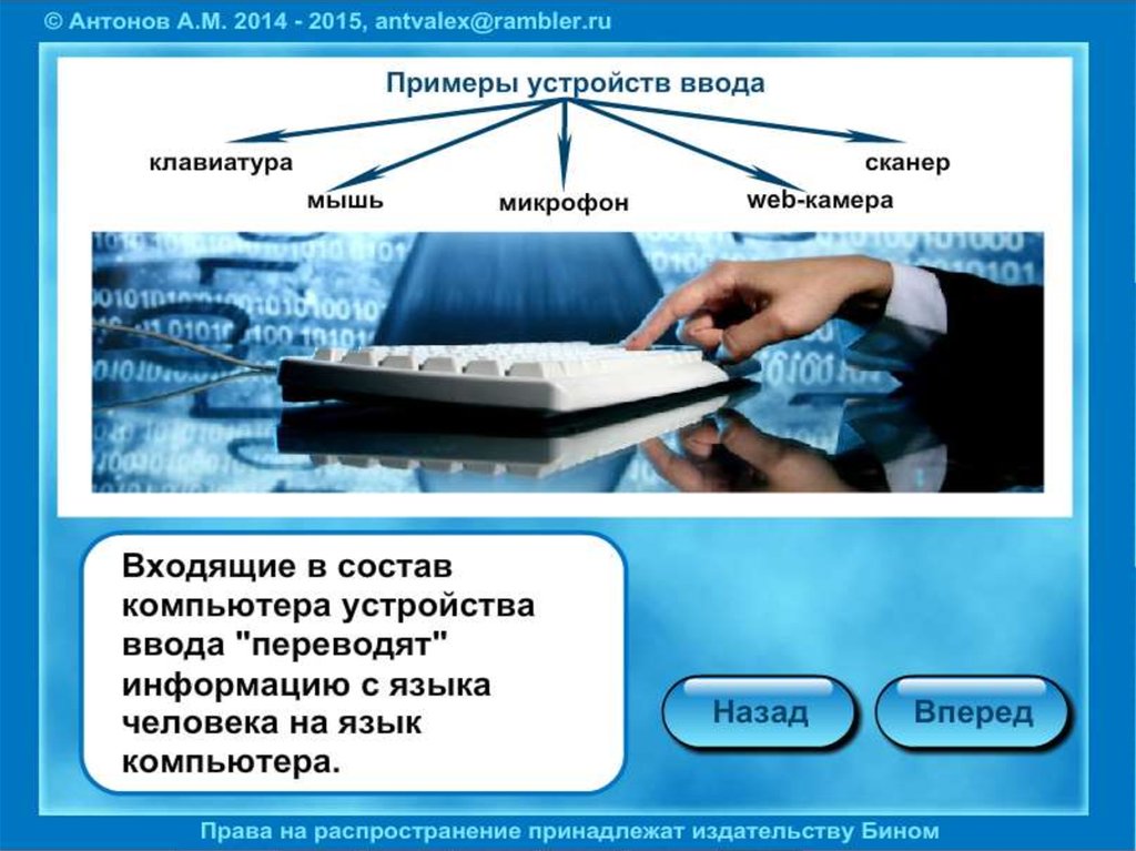 Устройство компьютера выполняющее обработку информации это.