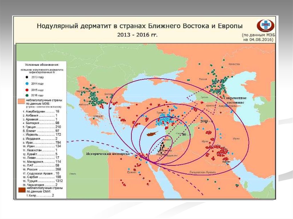 Узелковый дерматит в хакасии новости