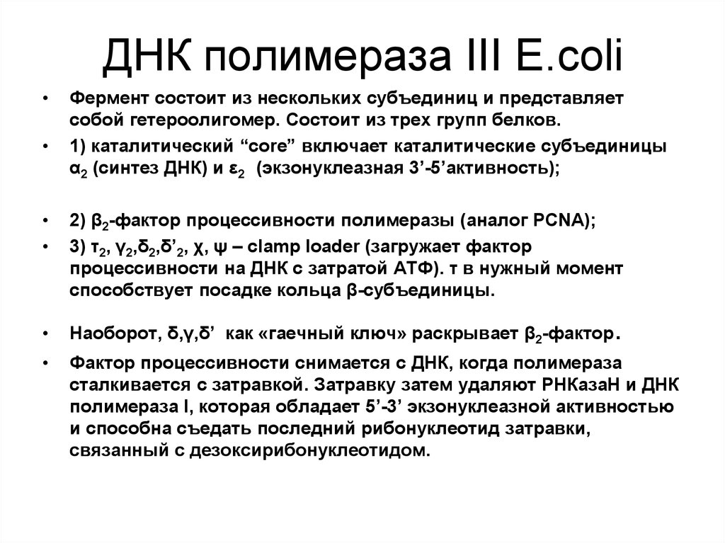 Активности днк полимераз. 5 3 Экзонуклеазная активность ДНК полимеразы. ДНК полимераза e coli. Холофермент ДНК-полимеразы III. Структура ДНК-полимеразы III.