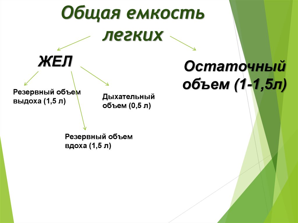 Общей вместимостью. Общая емкость легких. Деление общей емкости легких. Общая емкость легких формула. Из чего состоит общая емкость легких.