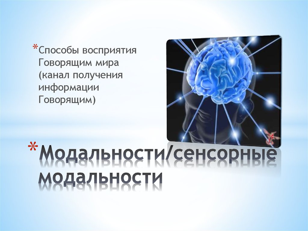 Создайте портрет своей языковой личности проанализировав свою речь по плану