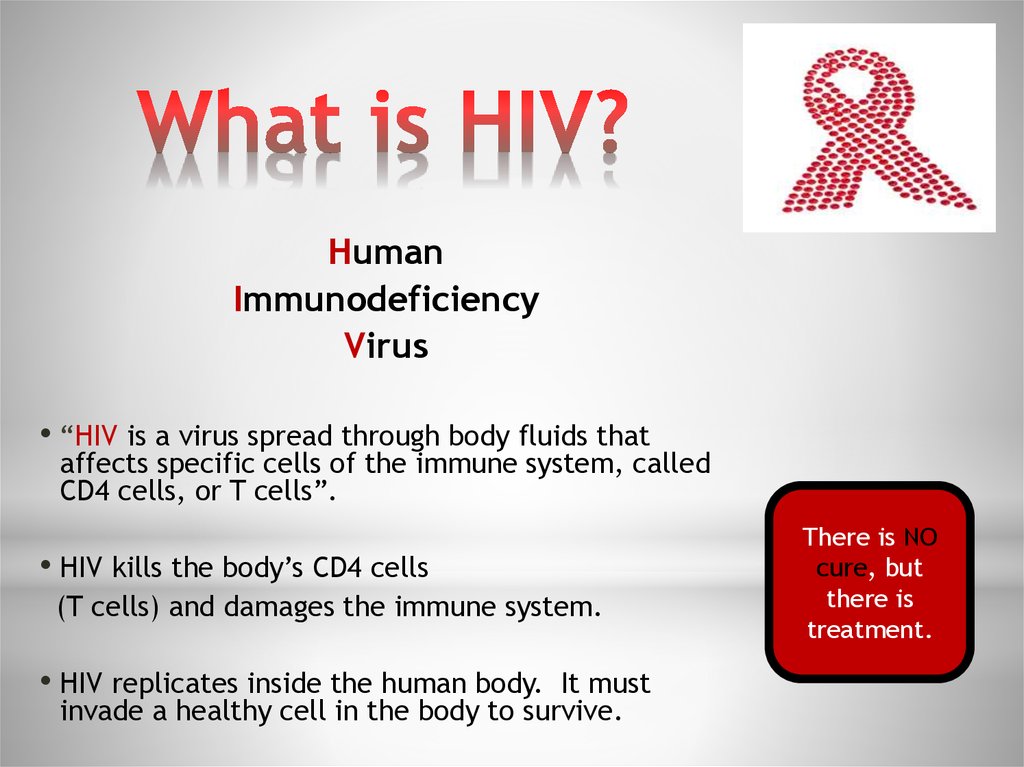 HIV-1 and HIV-2. Human Immunodeficiency Virus - online presentation