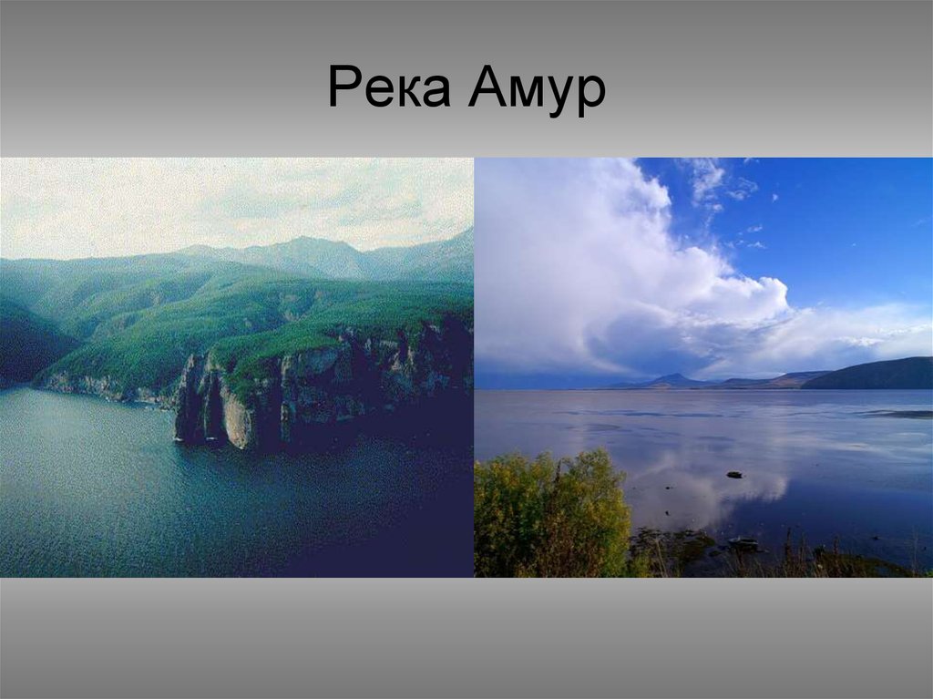 Река амур проект