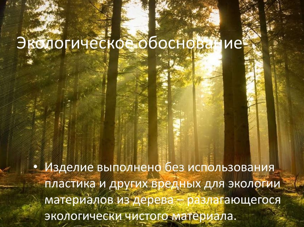 Экологическое обоснование