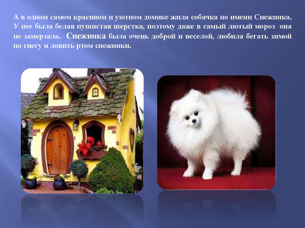 В императорском саду живет собака глава 7. Собачка для презентации. Бывают домики у девочек собачек. Обладает ли Живая собака и искусственные.