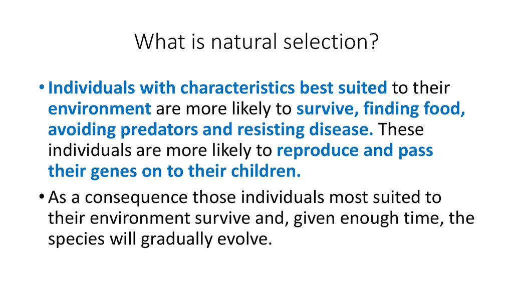 What is natural selection?