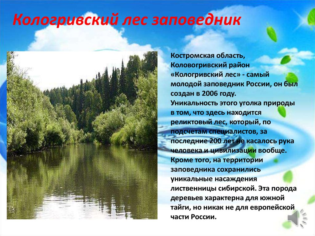 Заповедники в зоне лесов. Природные заповедники Костромской области. Охрана природы в Костромской области. Костромской заповедник. Заповедники и национальные парки Костромского края.