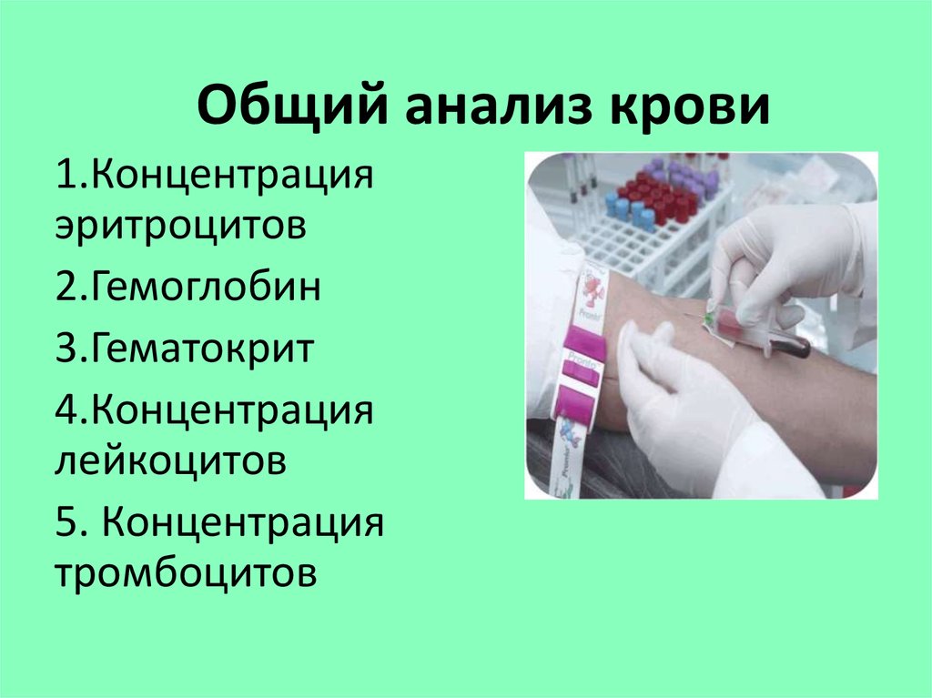 Общий анализ крови