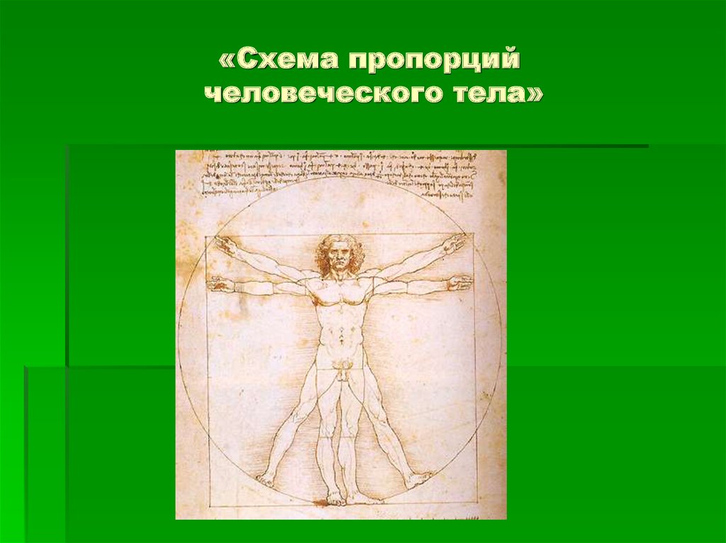 «Схема пропорций человеческого тела»