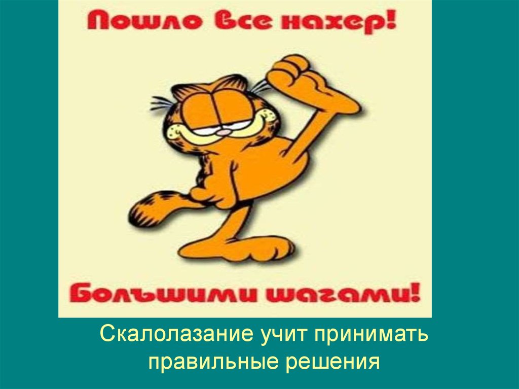 Скалолазание учит принимать правильные решения