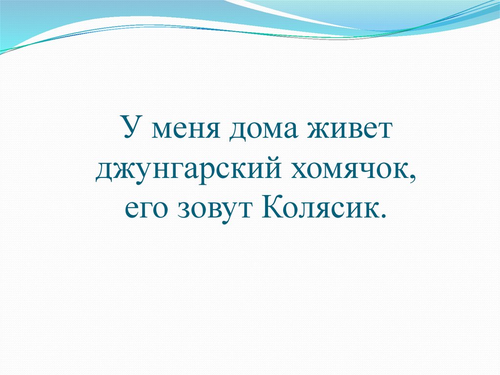 У меня дома живет джунгарский хомячок, его зовут Колясик.