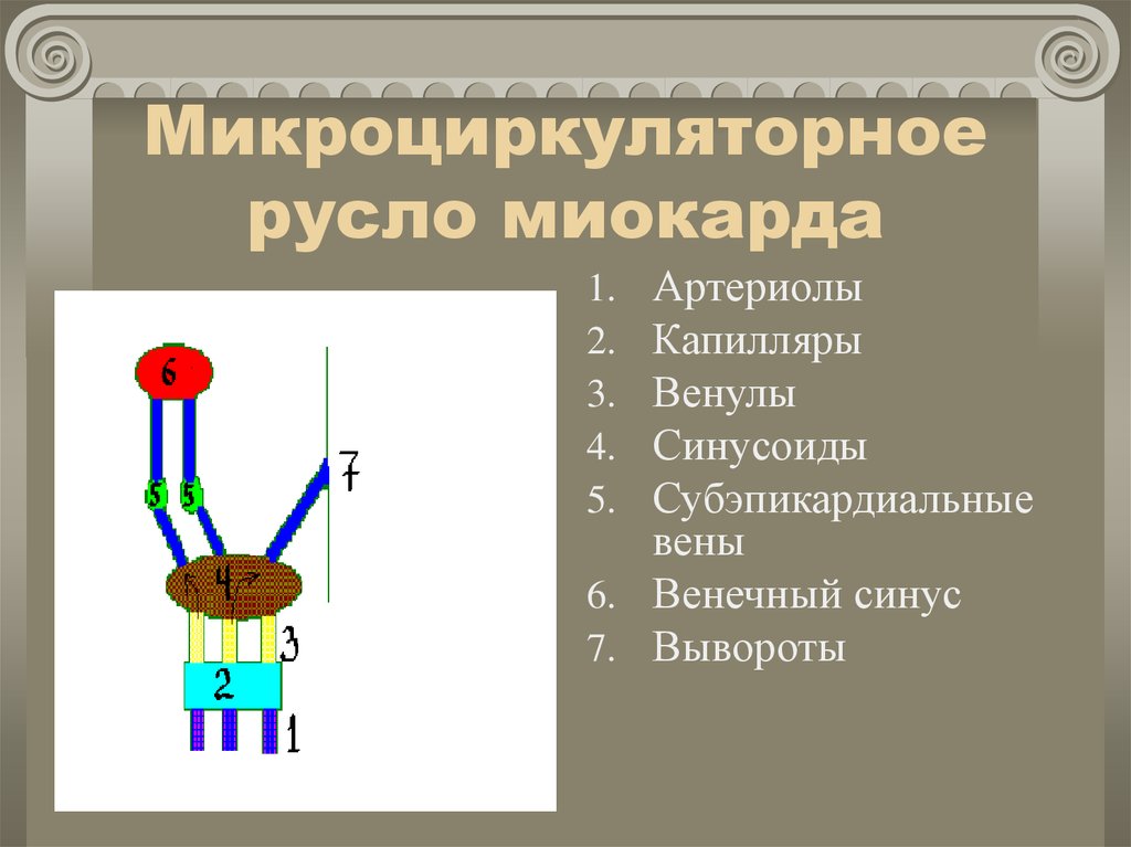 Типы венозных коллекторов