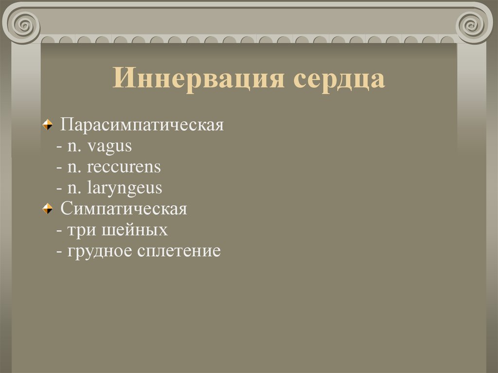 Проводящая система