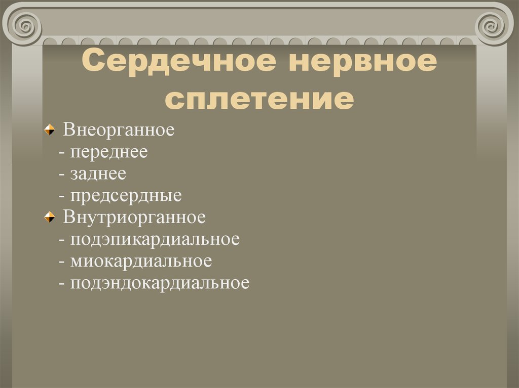 Иннервация сердца