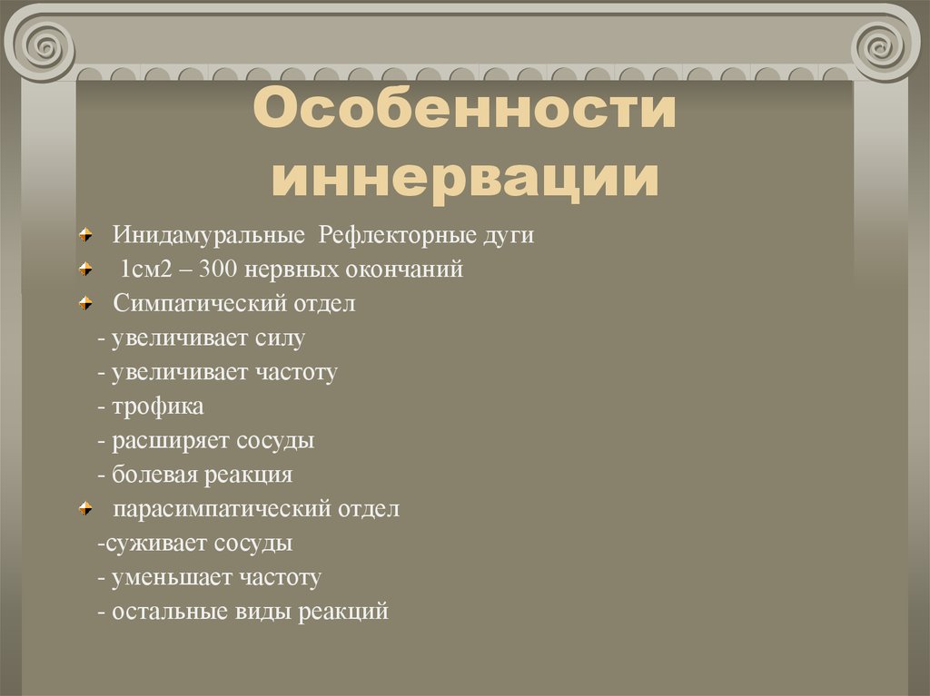 Сердечное нервное сплетение