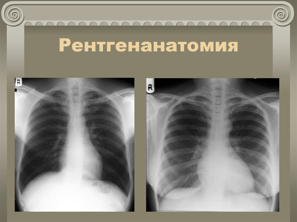 Особенности иннервации
