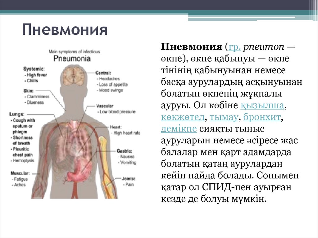 Пневмония презентация внутренние болезни