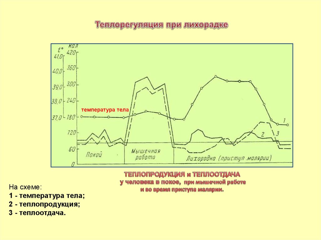 Схема температура