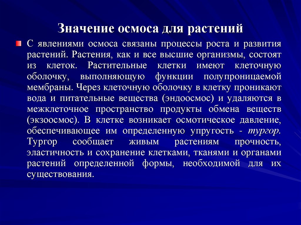 21 16 значение. Значение осмоса. Осмотические явления в растительной клетке. Прочность растения. Осмос значение в клетке.