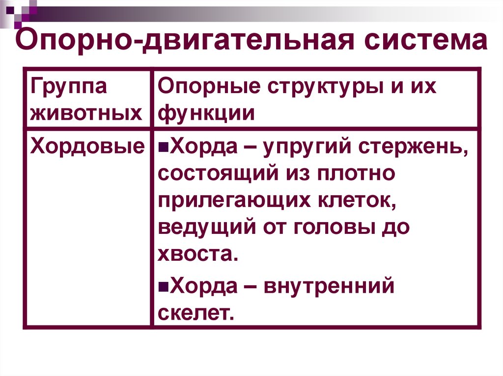 Опорно двигательная система презентация 7 класс