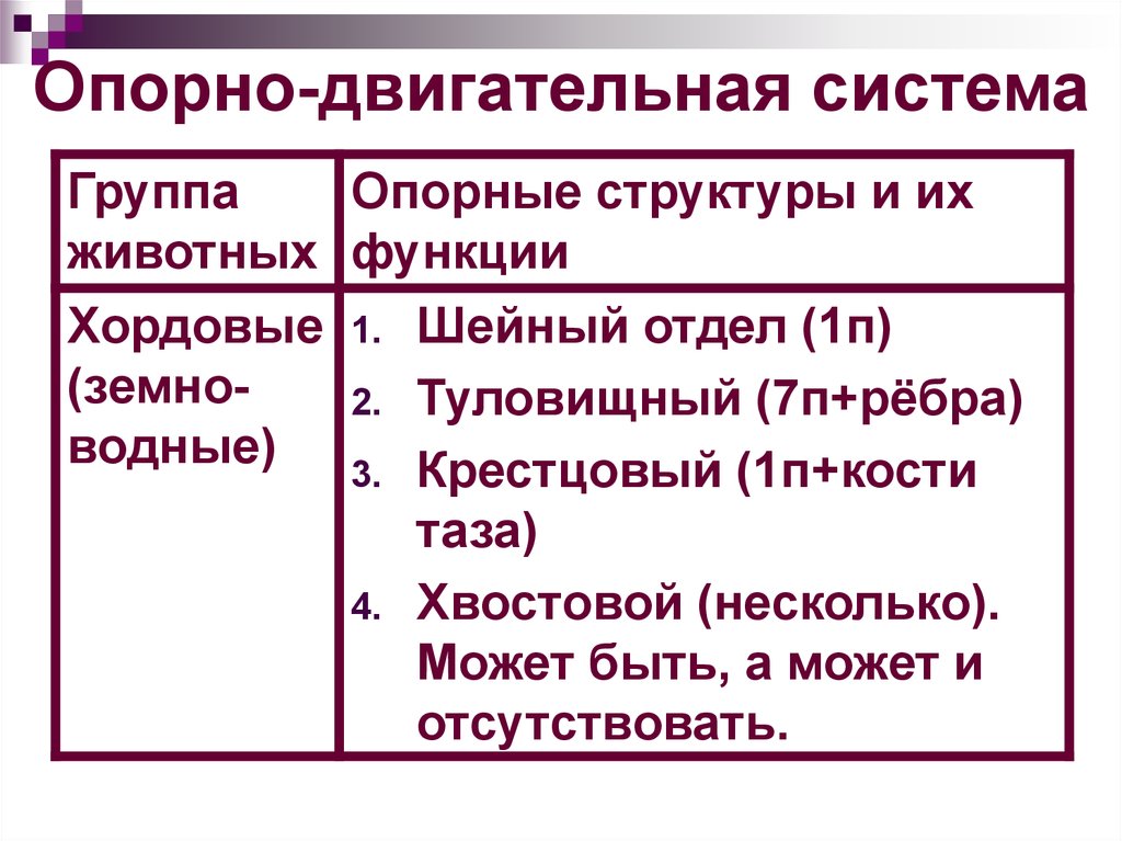 Опорно двигательная система животных презентация