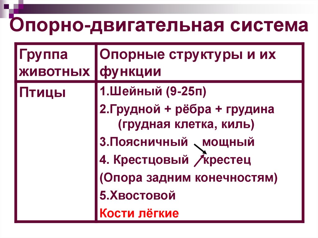 Биология опорно двигательная система 7 класс презентация