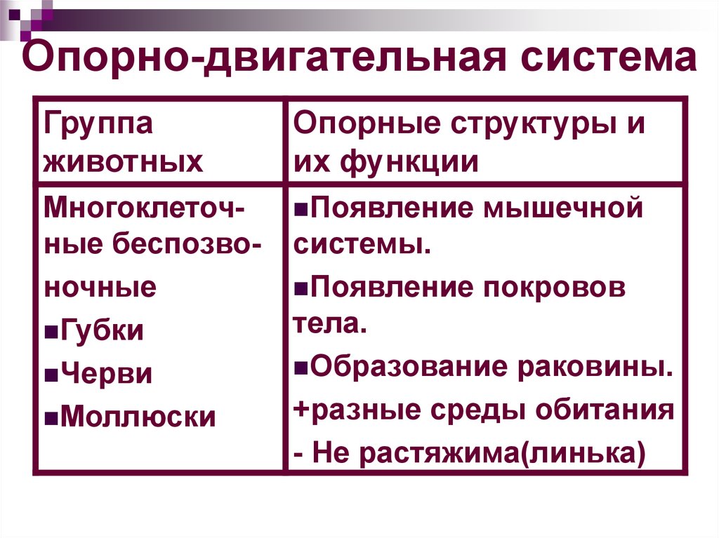 Опорно двигательная система млекопитающих таблица. Таблица по биологии 7 класс по теме опорно двигательная система. Строение опорно двигательной системы таблица. Опорно-двигательная система животных таблица. Таблица группа организмов и строение опорно двигательной системы.