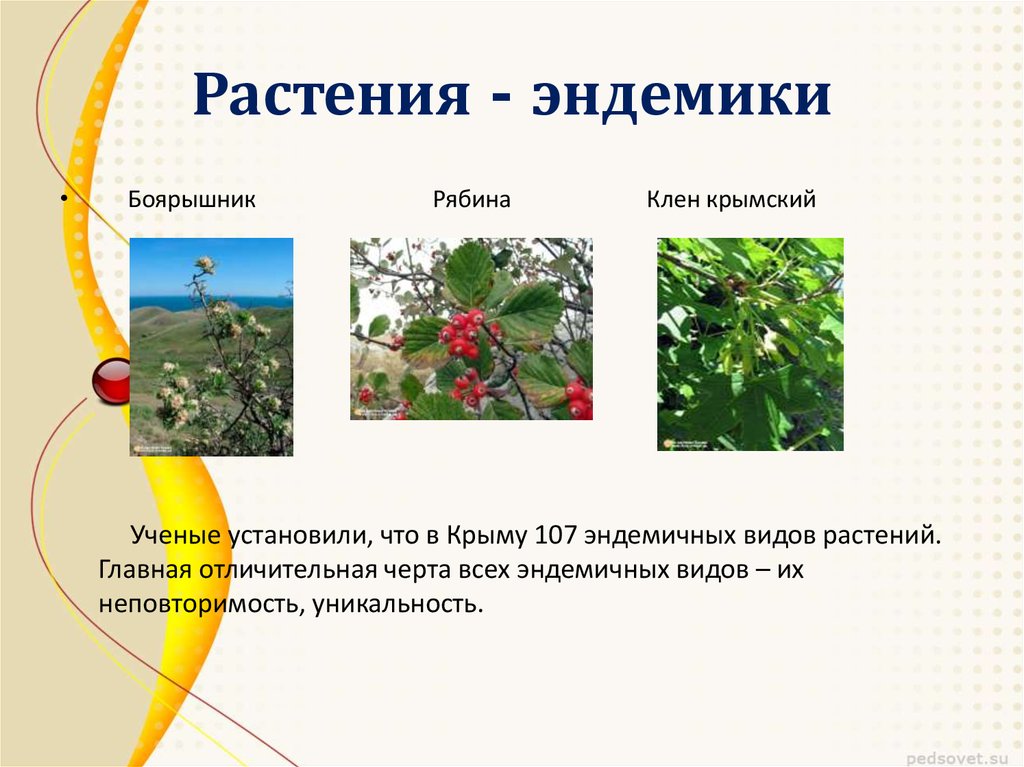 Природа крыма презентация