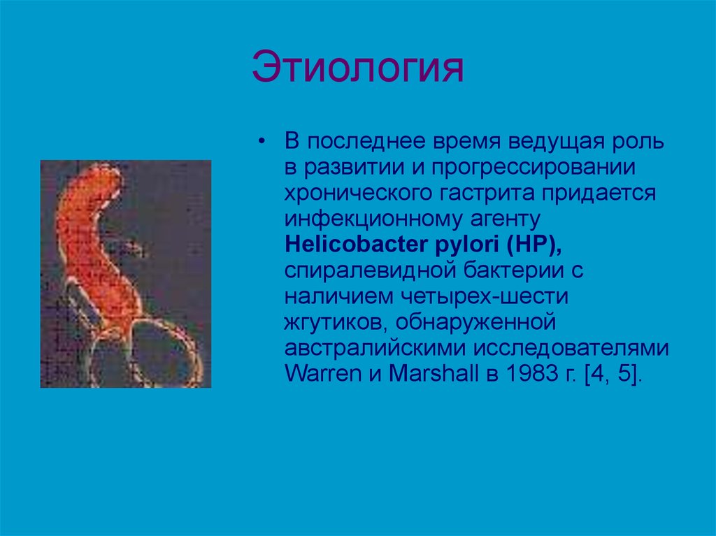 Гастрит хеликобактер. Роль хеликобактер пилори в развитии хронического гастрита. Хронический гастрит этиология хеликобактер пилори. Роль хеликобактер пилори при язвенной болезни. Роль Helicobacter pylori в развитии язвенной болезни.