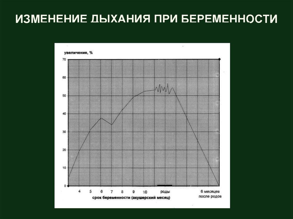 Изменение дыхания. Изменения в дыхательной системе при беременности. Изменения дыхания во второй половине беременности. Как меняется дыхание при повышении температуры тела?.