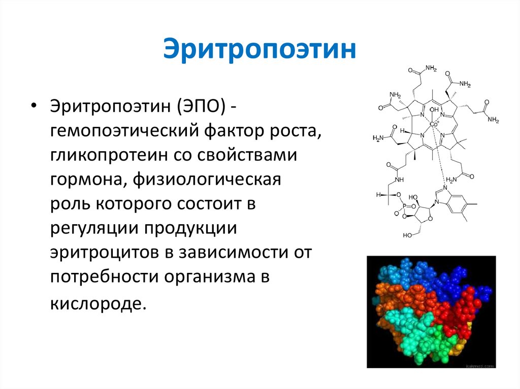 Фактор роста гормон. Эритропоэтин структура биохимия. Химическая природа и роль эритропоэтина. Эритропоэтин секретируется в. Эритропоэтин эффекты.
