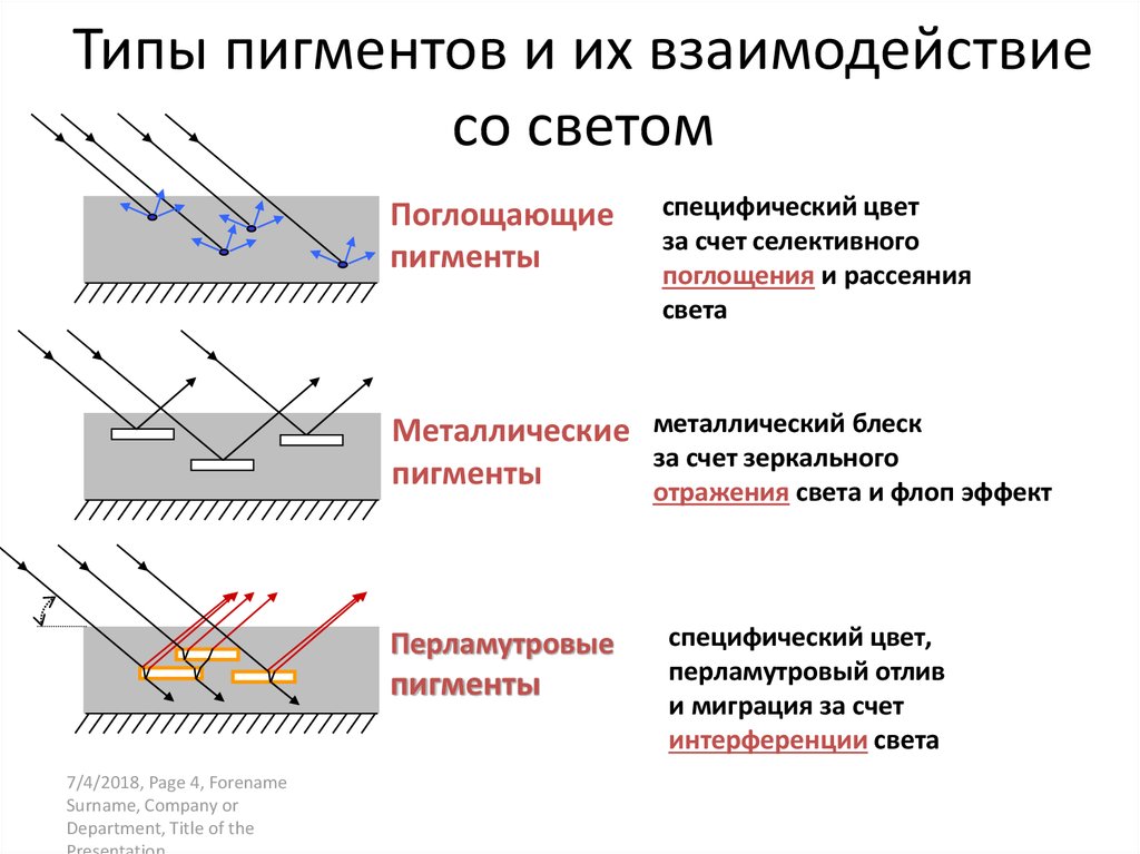 Типы пигментов и их взаимодействие со светом