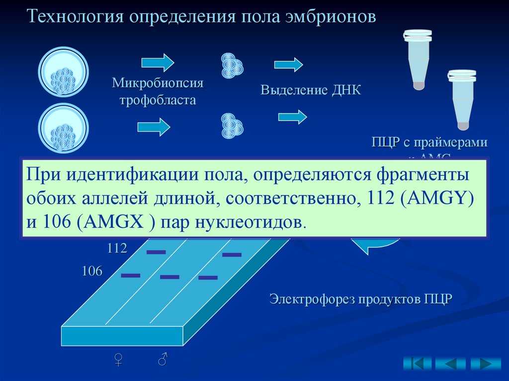 Узнать технологии сайта