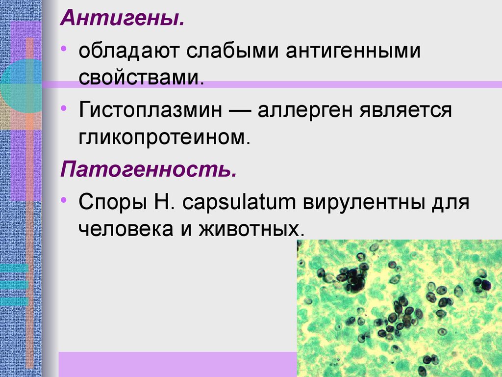 Возбудители грибковых инфекций. Антигены грибов. Грибковые антигены структурные компоненты токсины.