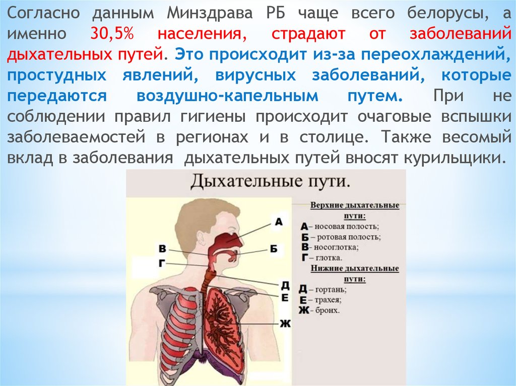 Патологии дыхательных путей. Профилактика дыхательных путей. Вирусные заболевания дыхательной системы. Заболевания органов дыхания воздушно капельным. Профилактика заболеваний верхних дыхательных путей.