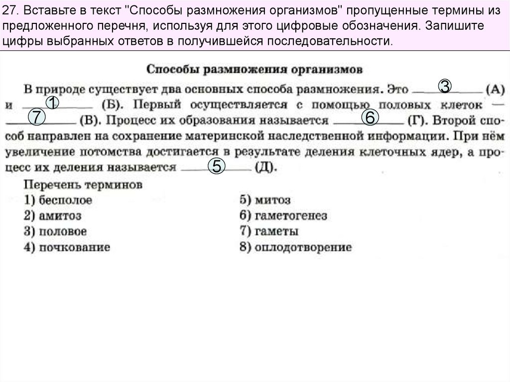 Вставьте пропущенные термины из предложенного перечня. Вставьте текст. Вставьте пропущенные термины. Вставь пропущенные термины. Вставить пропущенные термины.