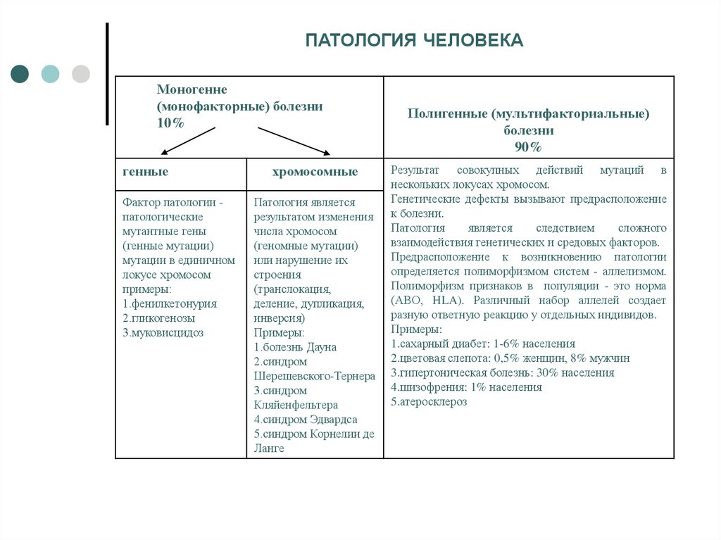 Эпидемический процесс и меры воздействия схема