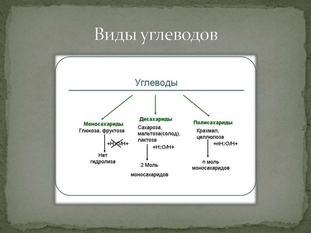 Открытый Урок По Теме Знакомство С Углеводами