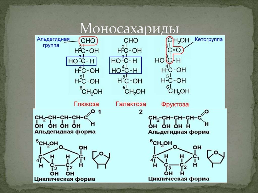 Углеводы виды моносахариды