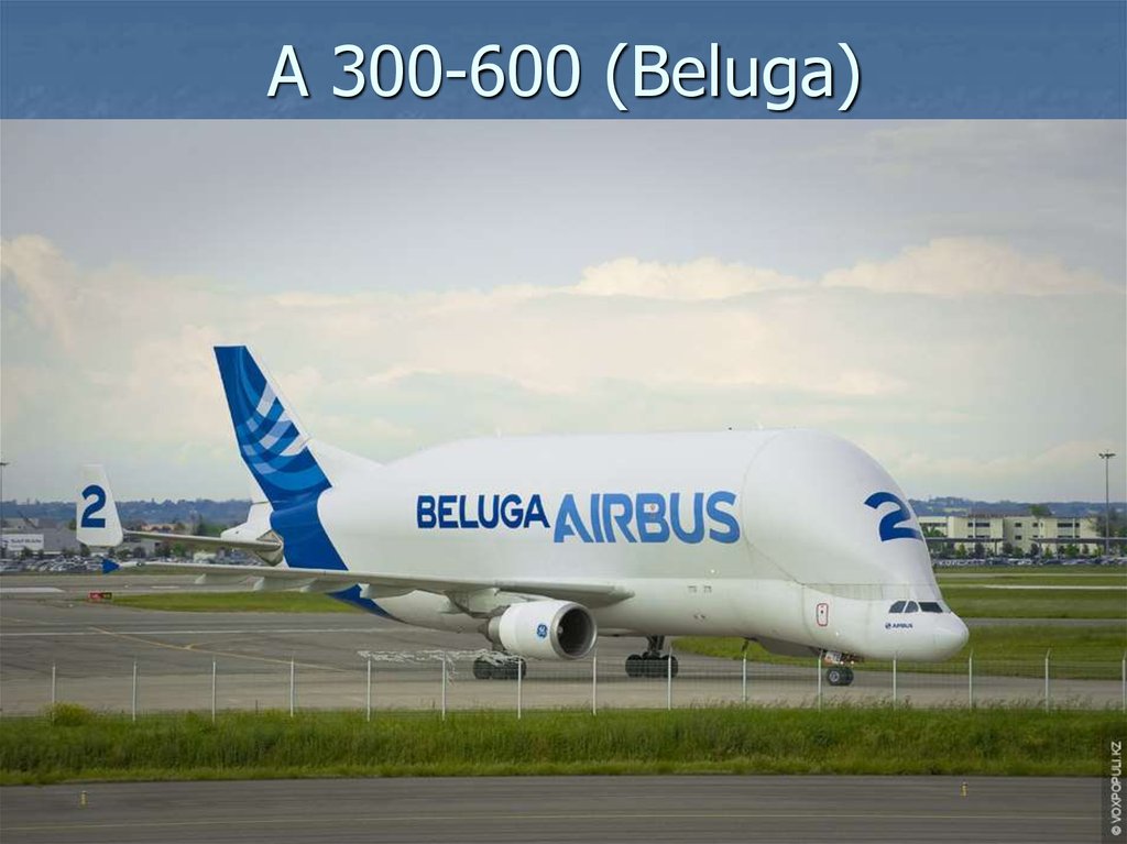 А 300-600 (Beluga)