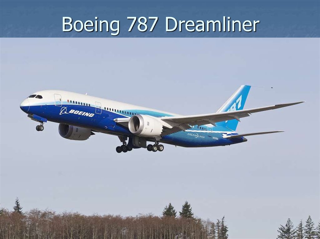 Boeing 787 Dreamliner